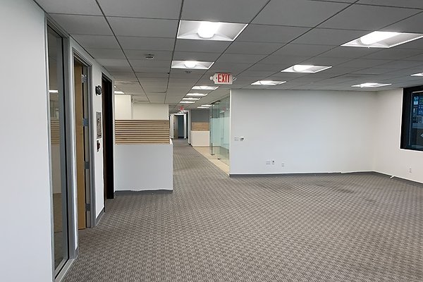 200Suite6519