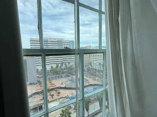 IMG 3461