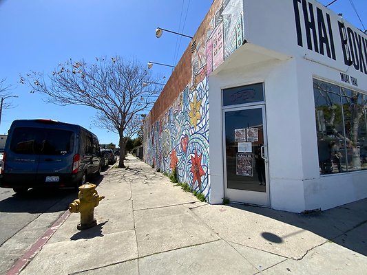 IMG 9939
