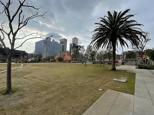 th IMG 8390