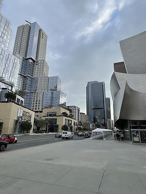 IMG 8456