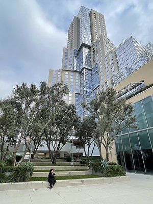 IMG 8476