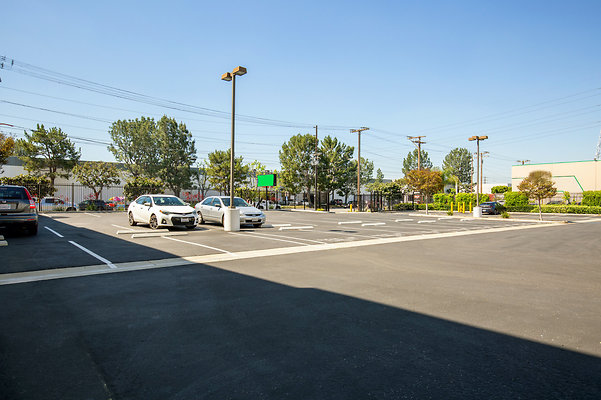 UNIVERSAL-D484-VERNON-10