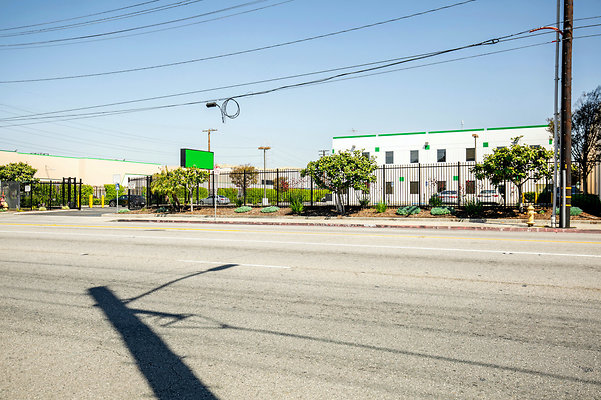 UNIVERSAL-D484-VERNON-3