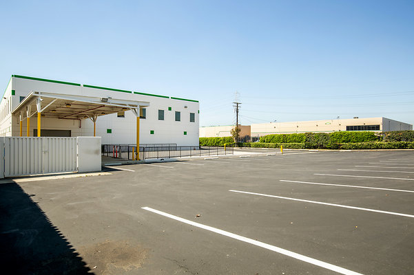 UNIVERSAL-D484-VERNON-15