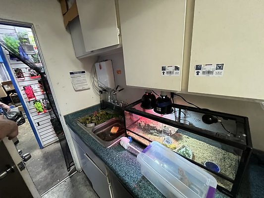 IMG 3626