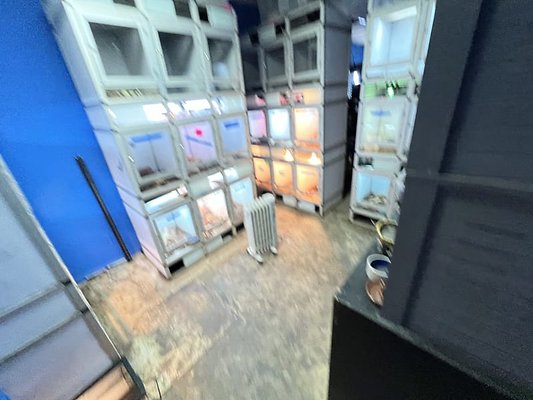 IMG 3634