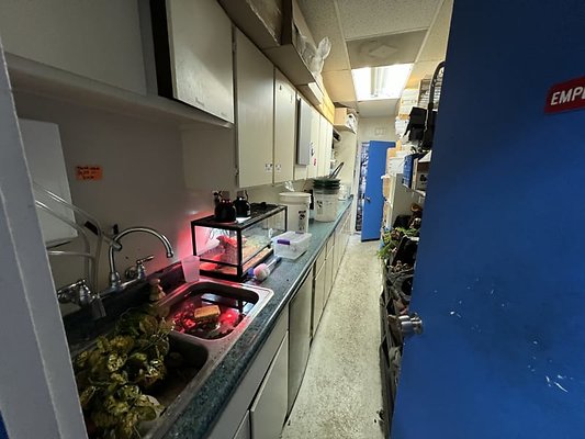 Back Rooms