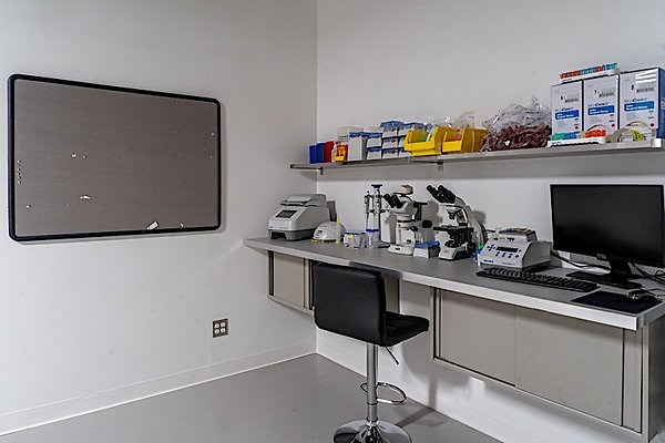11515 lab 7