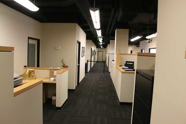 Suite4071