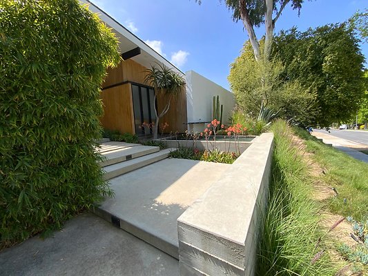 IMG 0337
