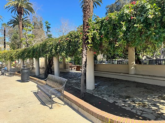 IMG 0922