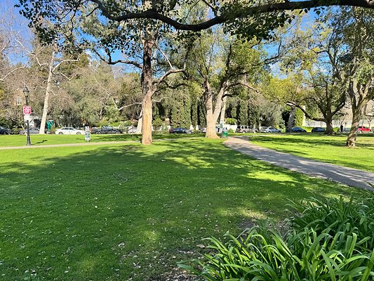 Holmby park-NOT CLEARED