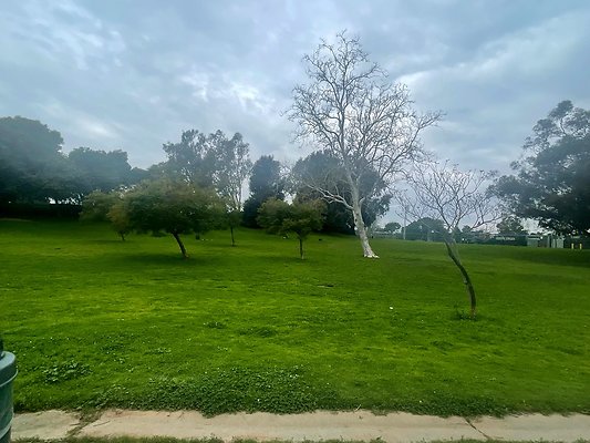 th IMG 8225