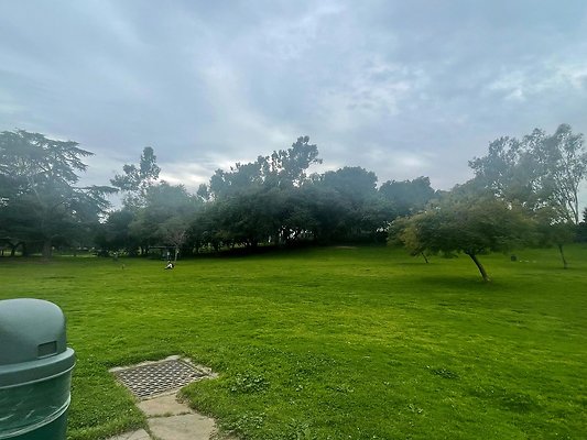 th IMG 8226