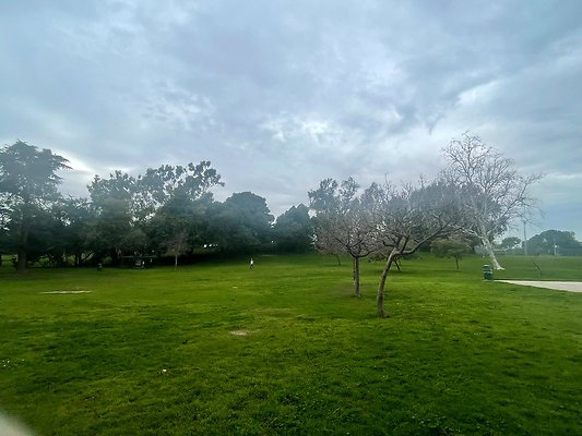 th IMG 8218