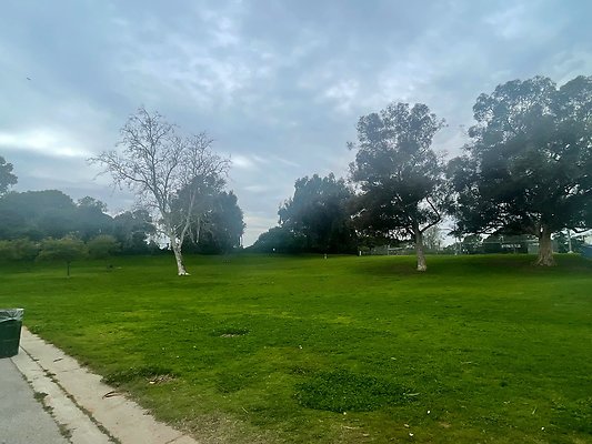 th IMG 8240