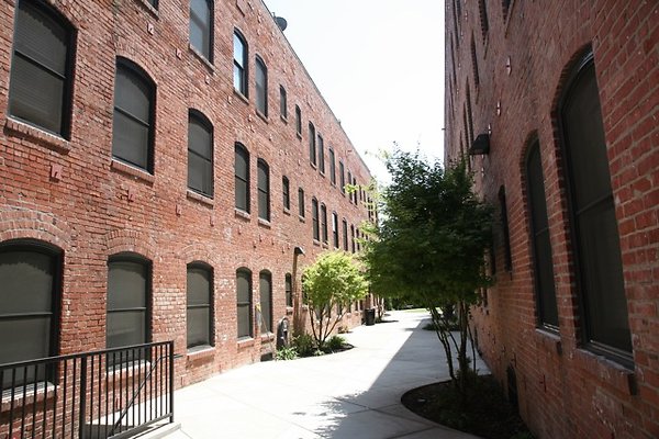 IMG 0079