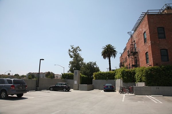 IMG 0089