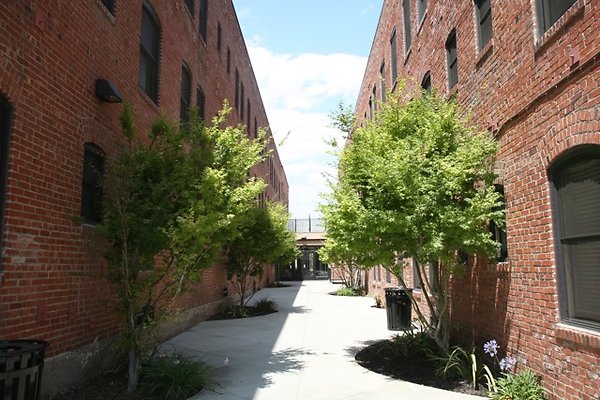 IMG 0081