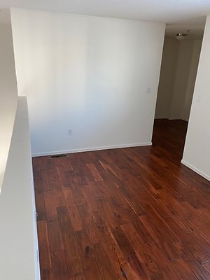 IMG 1235