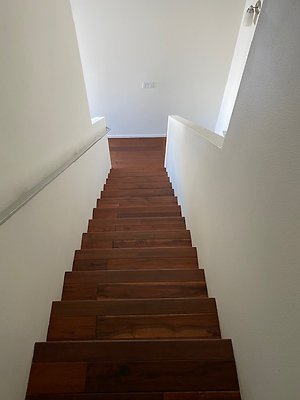 IMG 1237