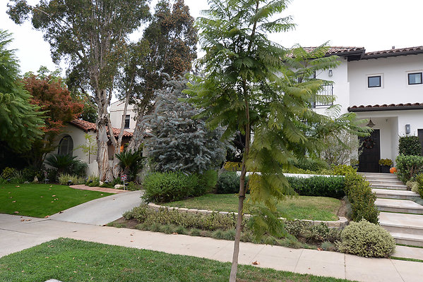 DSC 7241