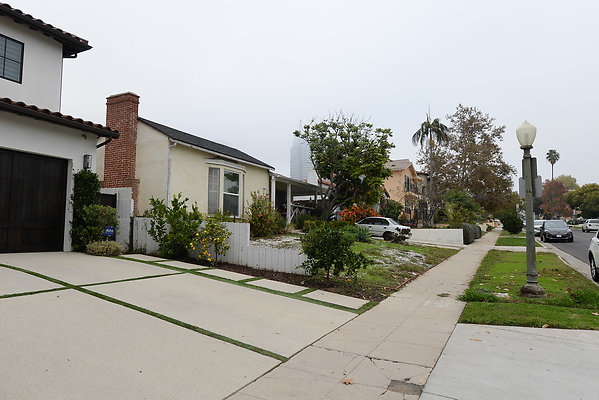DSC 7239