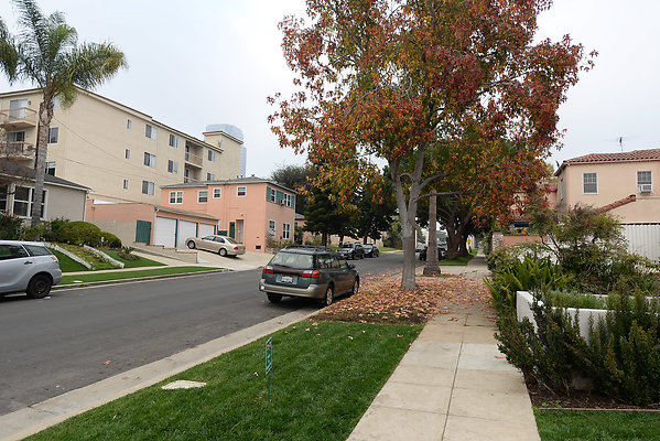 DSC 7204