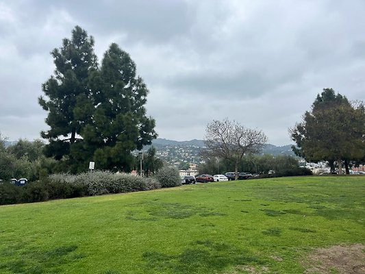 IMG 4679