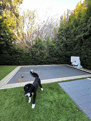 12952 pool 1