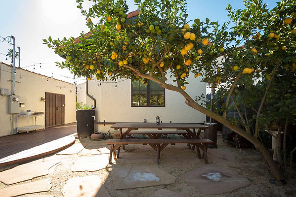 13136 garden 1