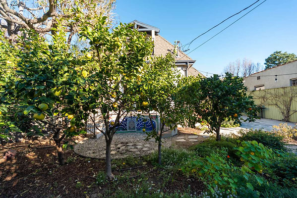 13183 garden 2