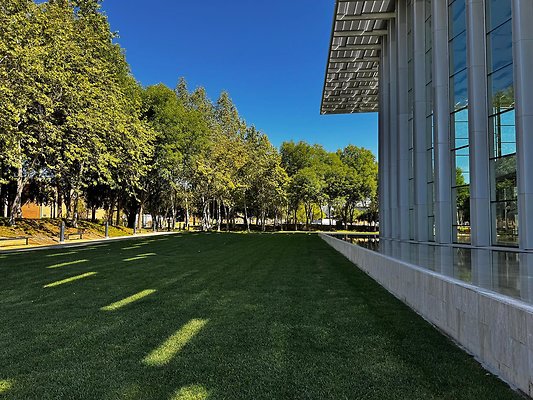 IMG 7376