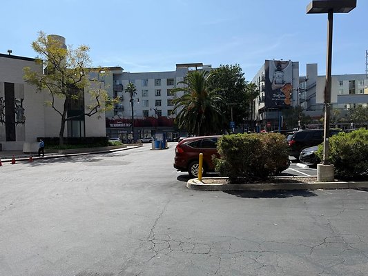 th IMG 0259
