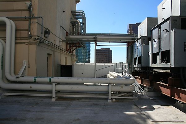 IMG 9957