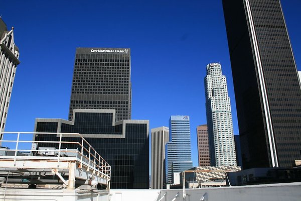 IMG 9950