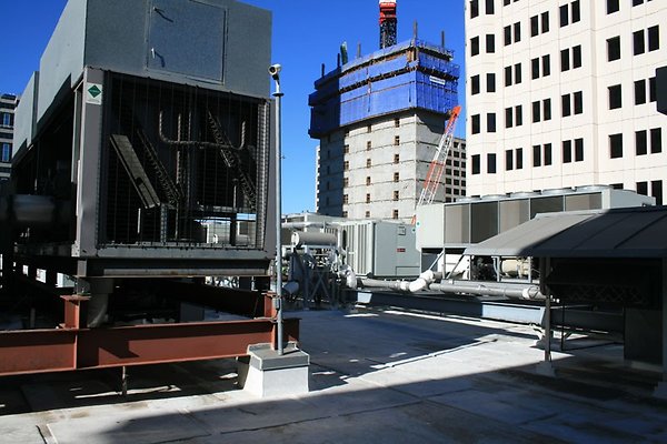 IMG 9923