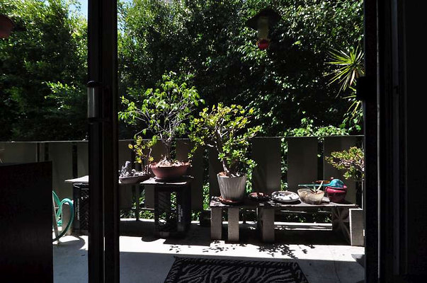 8891 patio 1
