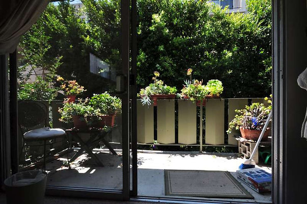 8891 patio 3