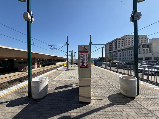 th IMG 1195