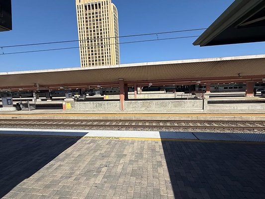th IMG 1175