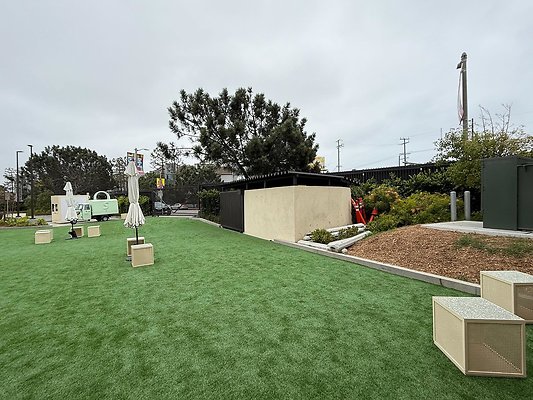 IMG 8588