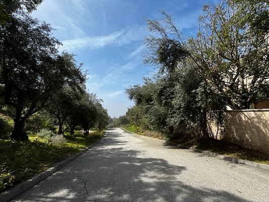 IMG 7719