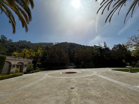 IMG 7724