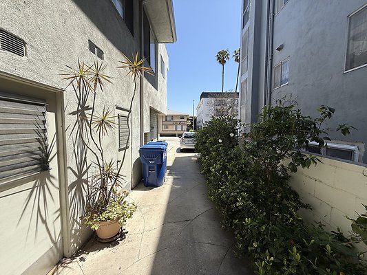 IMG 0679