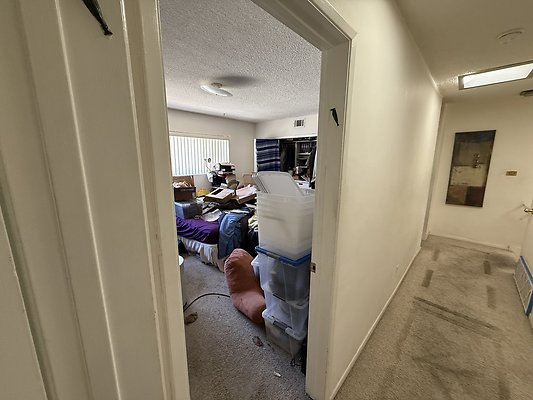 IMG 0643