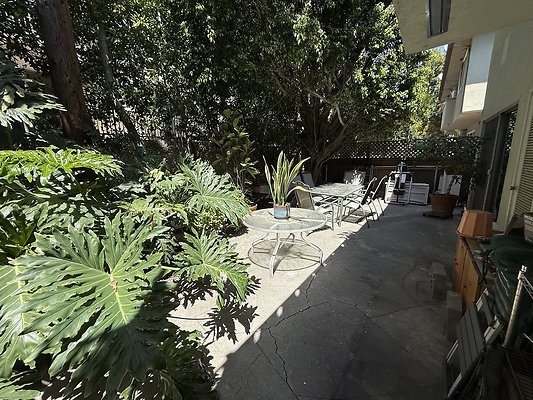 IMG 0658