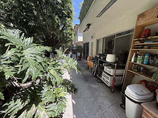 IMG 0668