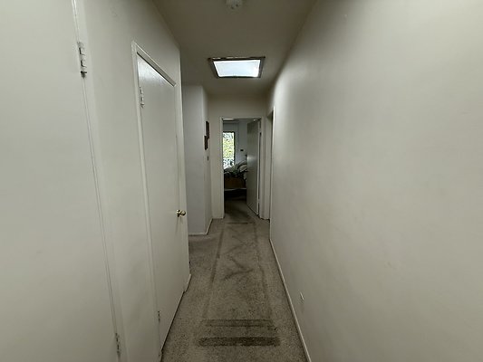 IMG 0614